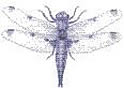 LIBELLULA
