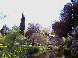 Oasi di Ninfa